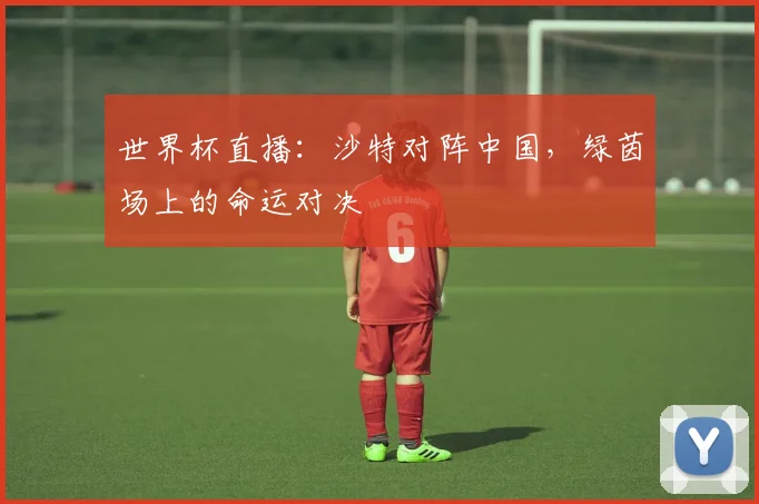 世界杯直播：沙特对阵中国，绿茵场上的命运对决