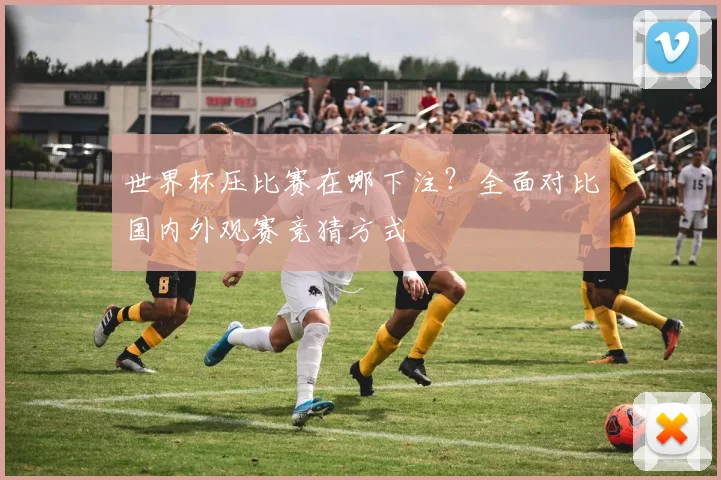 世界杯压比赛在哪下注?全面对比国内外观赛竞猜方式