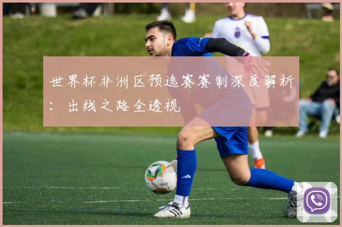 世界杯非洲区预选赛赛制深度解析：出线之路全透视